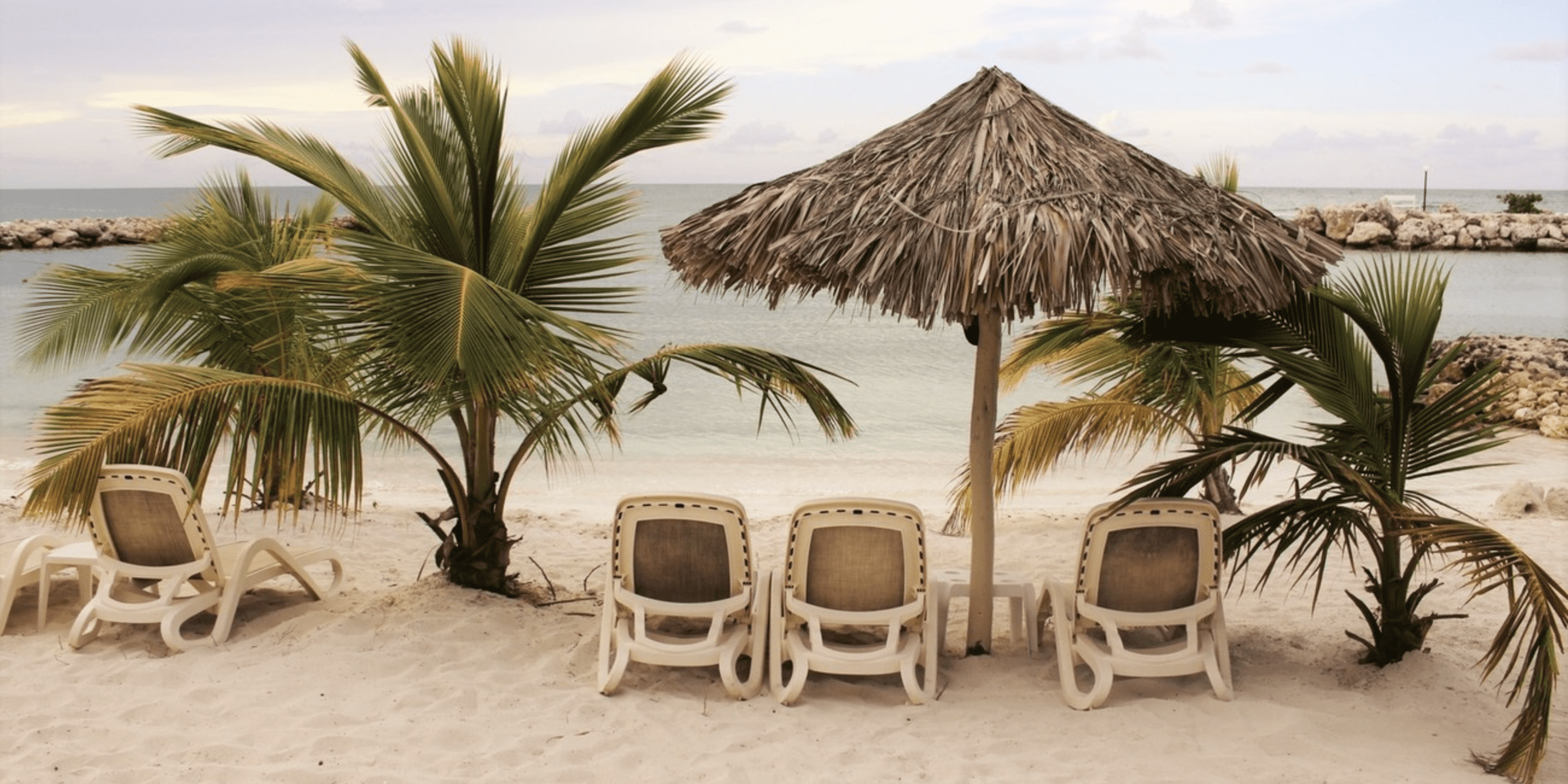 beach chairs and a straw sunbrella on the beach ocean in the distance, 2 short palm trees on either side of the chairs